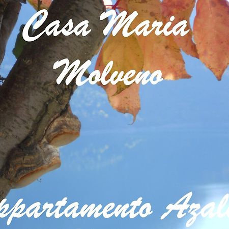 モルヴェーノCasa Mariaアパートメント 部屋 写真