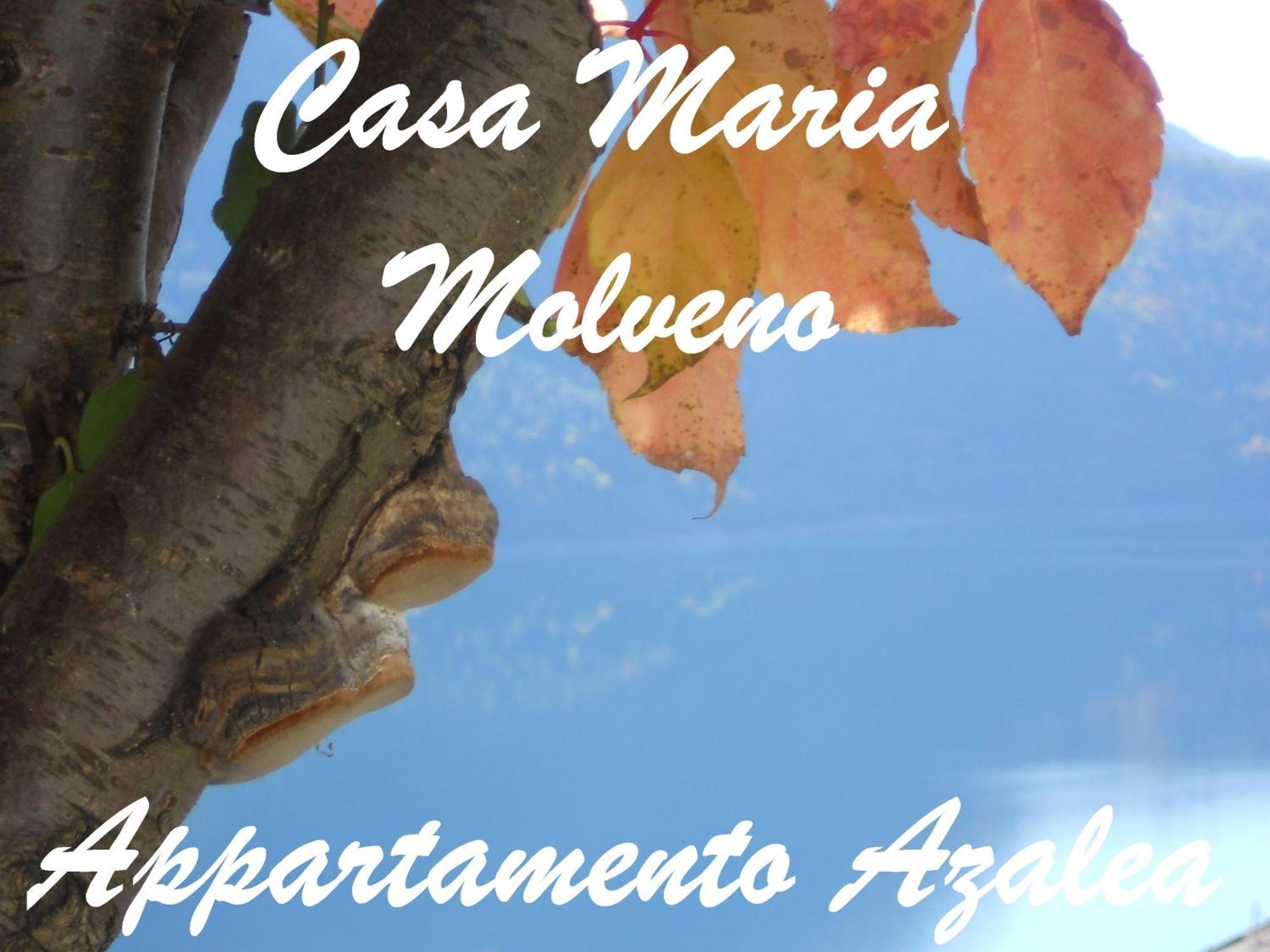 モルヴェーノCasa Mariaアパートメント 部屋 写真